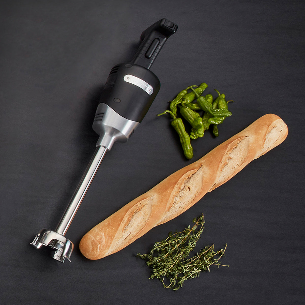 Bastón Licuador de 10” Capacidad 6 Gal 2 Velocidades 1/2 hp