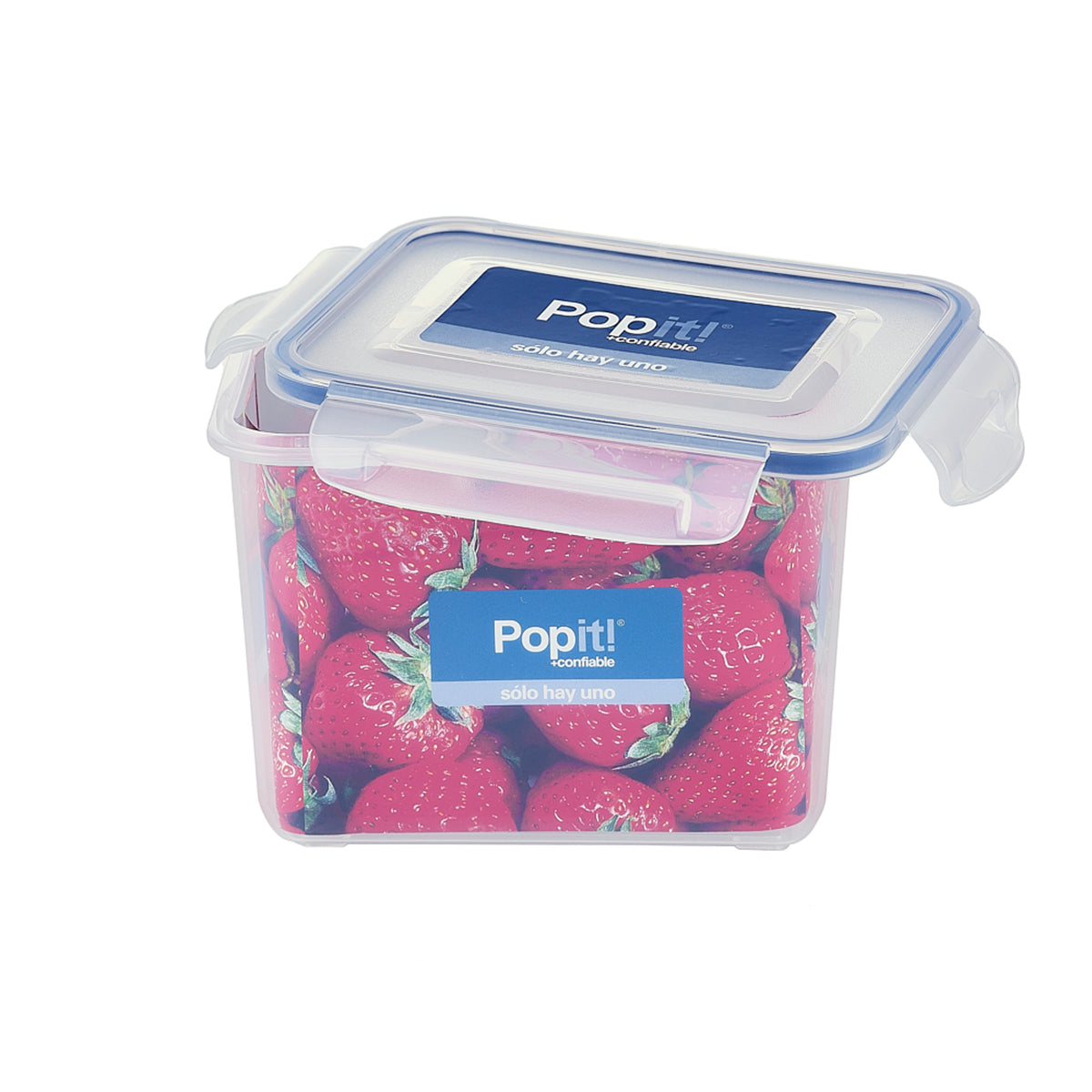 Caja Plástica de 160 x 115 x 111 mm de 1.4 lts