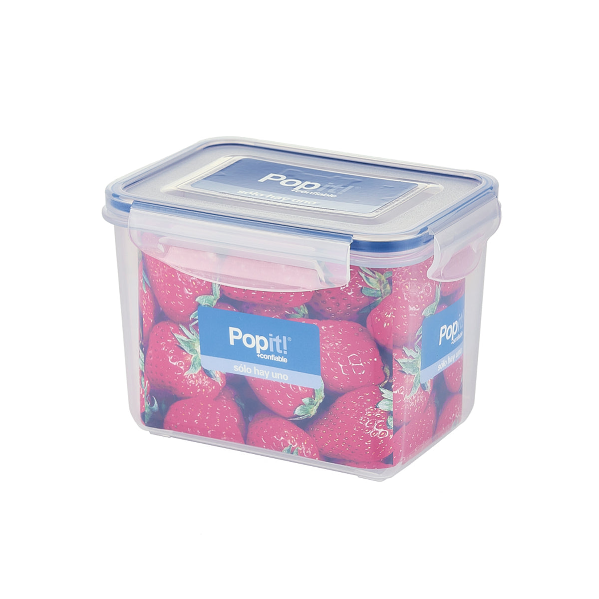 Caja Plástica de 160 x 115 x 111 mm de 1.4 lts