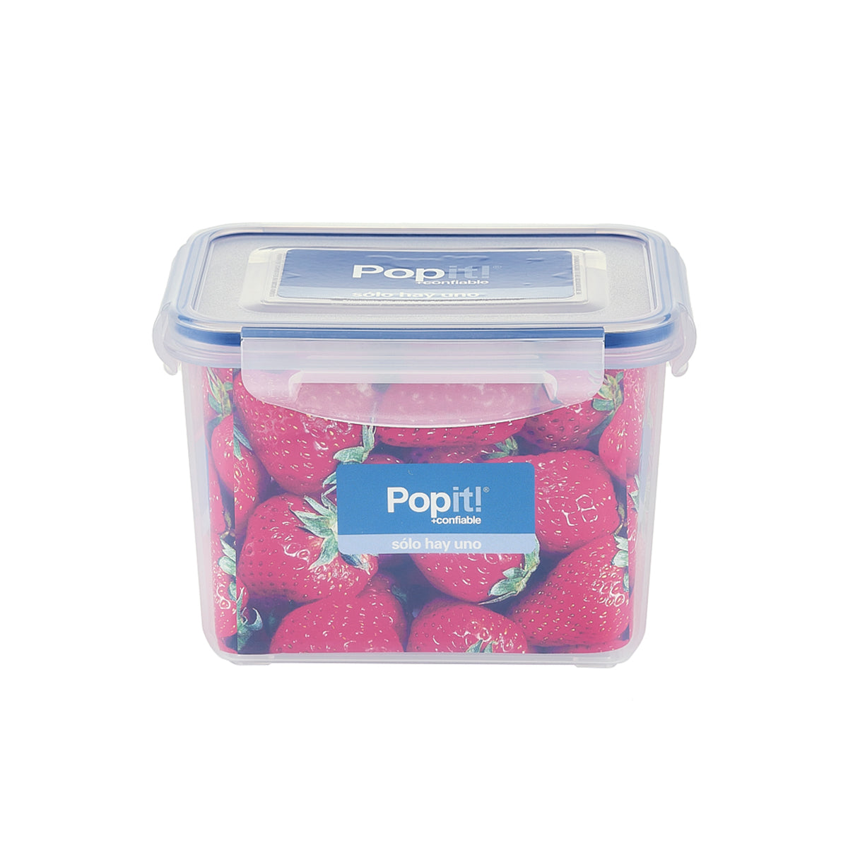 Caja Plástica de 160 x 115 x 111 mm de 1.4 lts