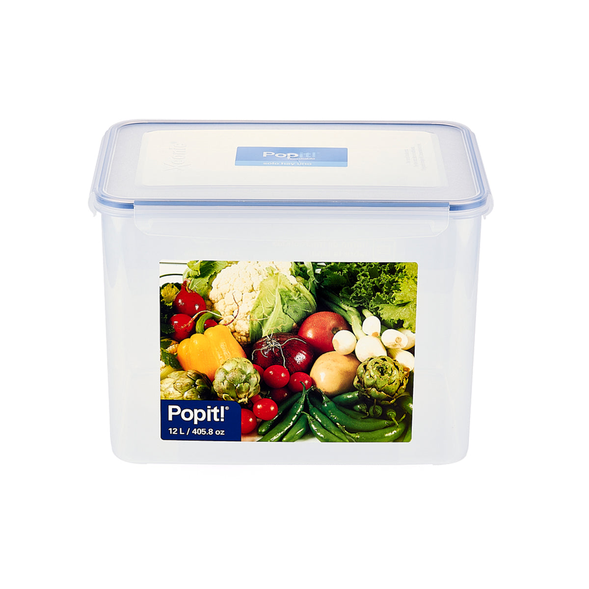 Caja Plástica de 317 x 226 x 223 mm sin Asa de 12 lts