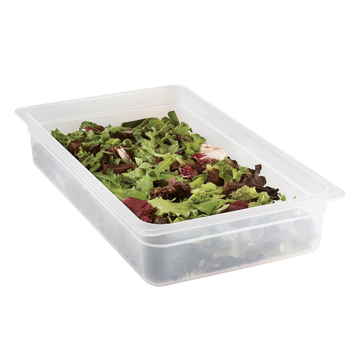 Inserto de Plástico Tamaño Entero 4” Translúcido