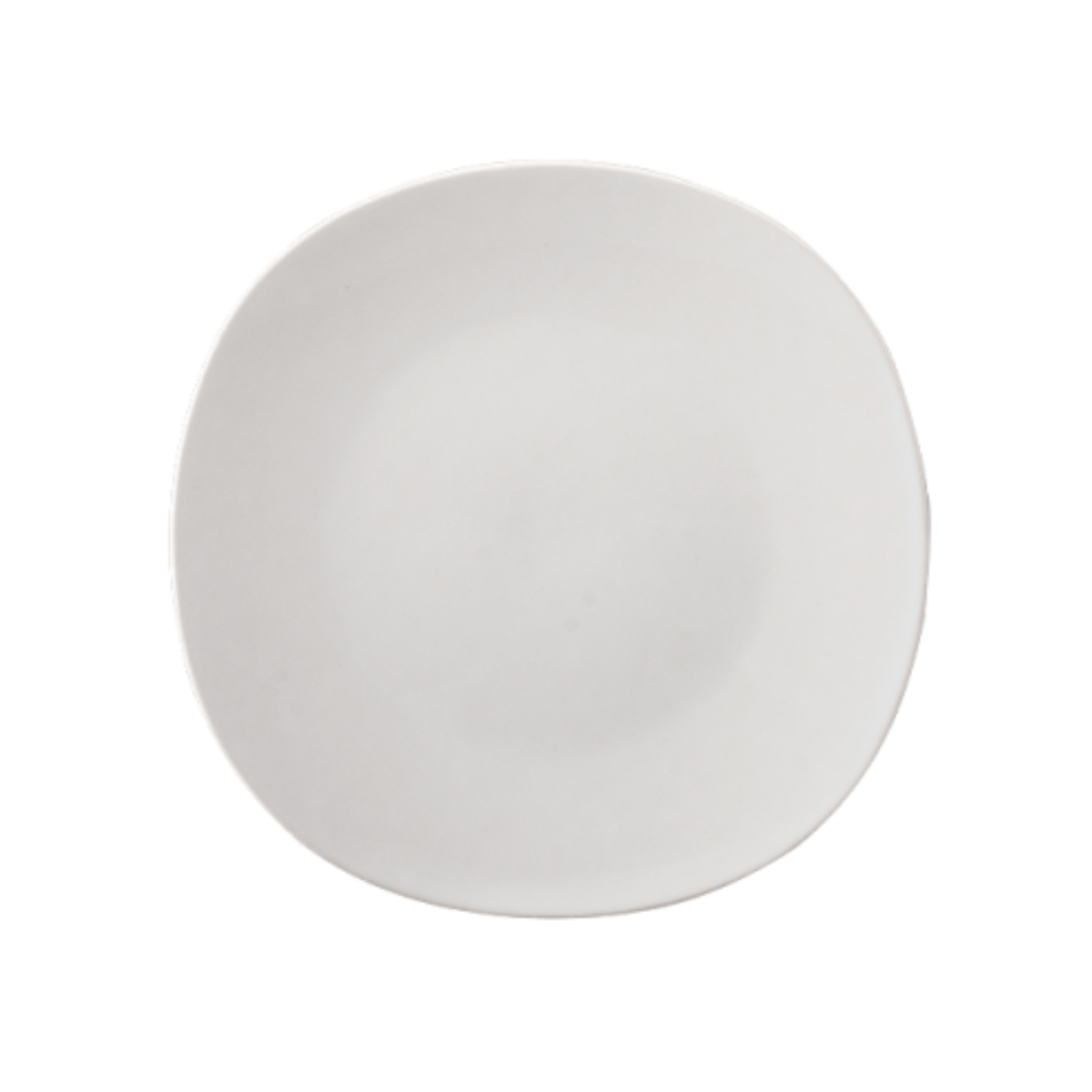 Plato Trinche Antartic Opal de 20 cm con 48 Piezas